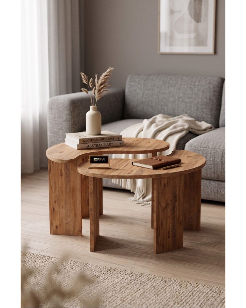 Orta Sehpa 2'li Sehpa Seti Oval Modern Dekoratif Salon Oturma Odası Sehpası Denge 9253 Atlantik Çam