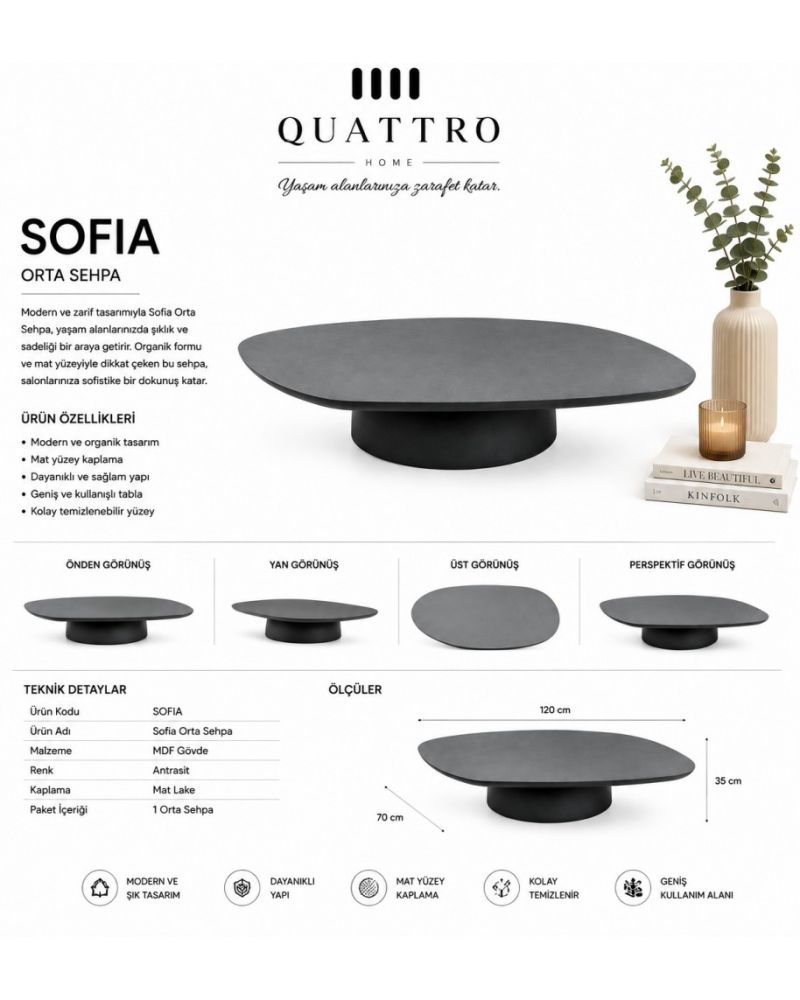 Sofia 120 cm Antrasit Mat Lake Organik Form Orta Sehpa