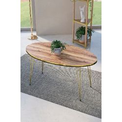 Elips Ceviz Orta Sehpa Gold Tel Ayaklı