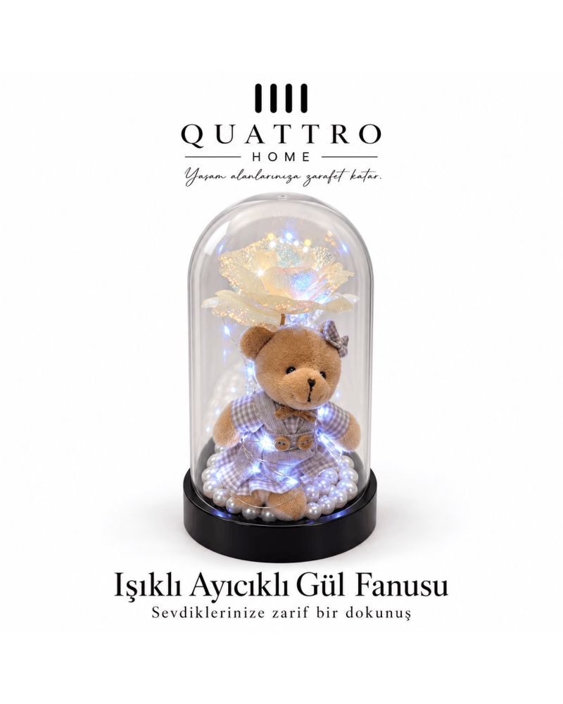 ışıklı ayıcık  Fanus - siyah