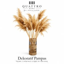 Somon Rengi Pampas Otu Dekoratif Kurutulmuş Çiçek-95 cm-10 LU  ( 5 paket )