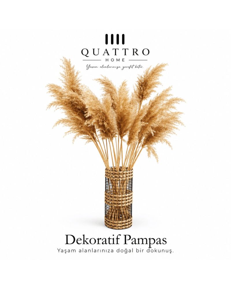 Somon Rengi Pampas Otu Dekoratif Kurutulmuş Çiçek-95 cm-10 LU  ( 5 paket )