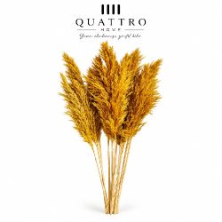 Açık Sarı Pampas Otu Dekoratif Kurutulmuş Çiçek- 95 cm uzunluğundadır  ( 5 paket )