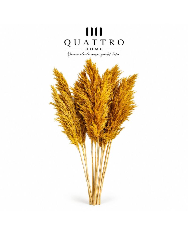 Açık Sarı Pampas Otu Dekoratif Kurutulmuş Çiçek- 95 cm uzunluğundadır  ( 5 paket )