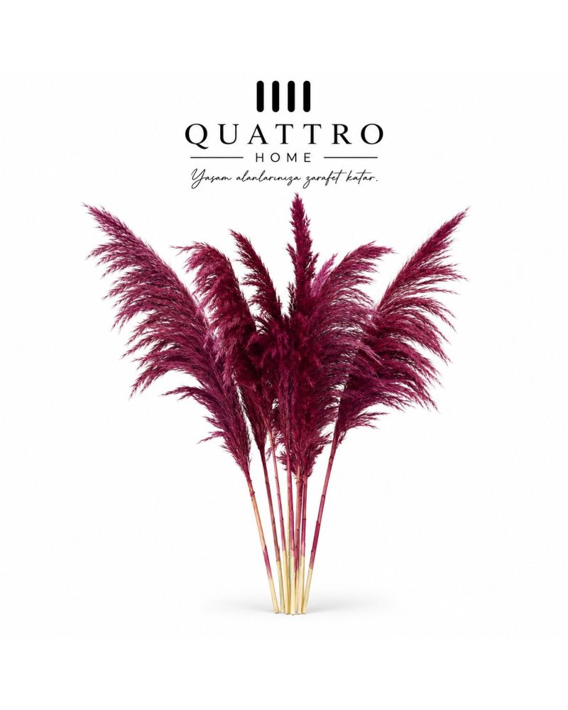 Mor Pampas Otu Dekoratif Kurutulmuş Çiçek-95 cm-10 lu -  ( 3 paket )
