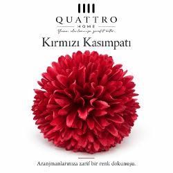 Kırmızı Yapay Kasimpatı Çiçeği-50 adet
