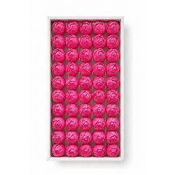 Pembe Kokulu İthal Kafa Lale 4,5 cm - 50 Adet
