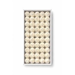 Beyaz Kokulu Kafa Lale 4,5 cm - 50 Adet