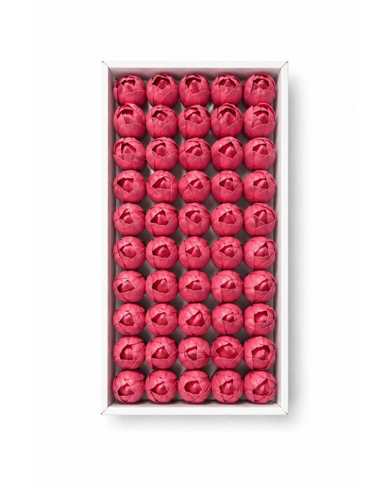 Açık Pembe Kokulu Kafa Lale 4,5 cm - 50 Adet