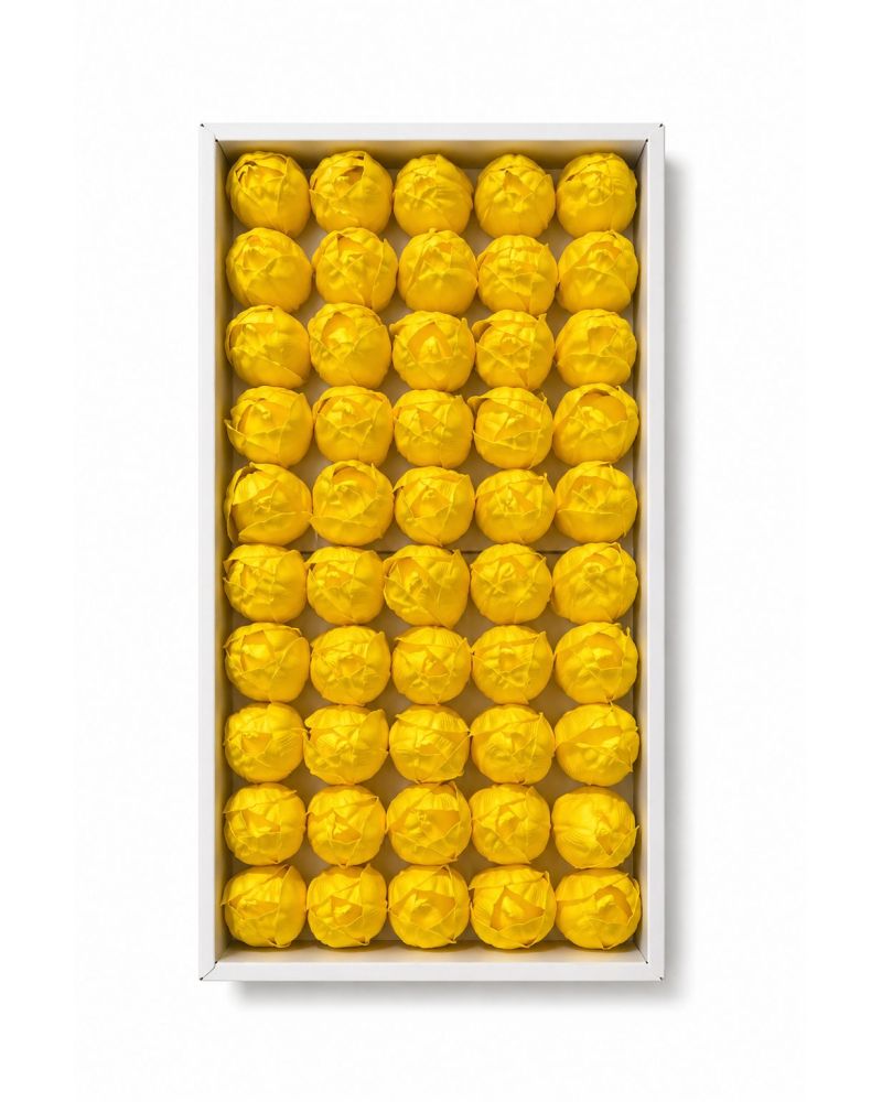 Limon Sarısı Kokulu Kafa Lale 4,5 cm - 50'li Paket