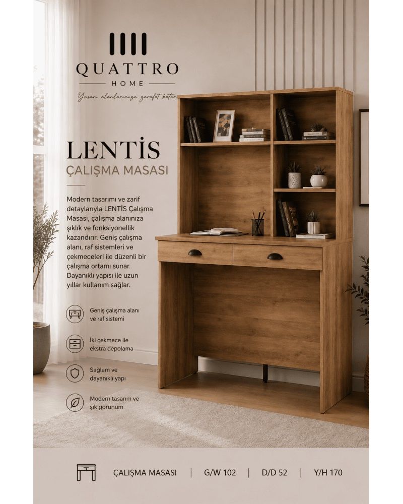 Lentis Çalışma Masası